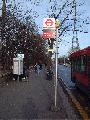 Alighting Point Bus Stop Crystal Palace 271204