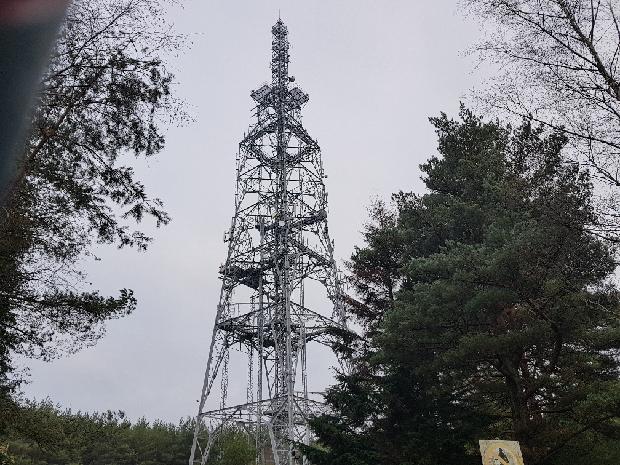 Masts