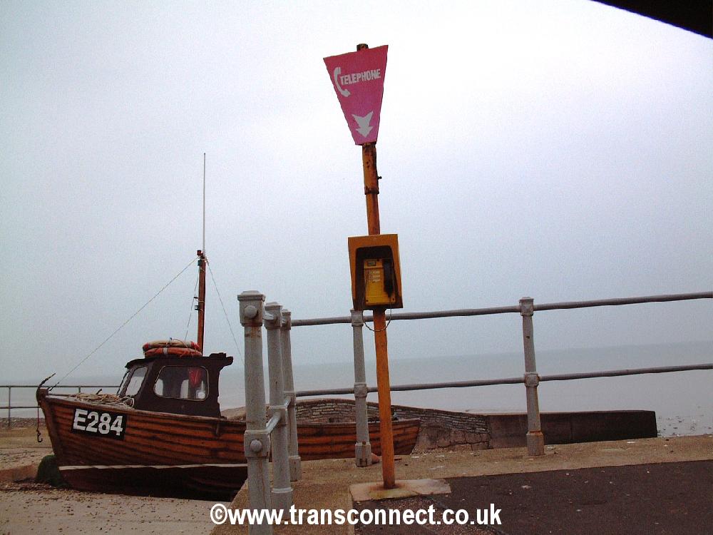 Emergency TE Sidmouth 010206.JPG