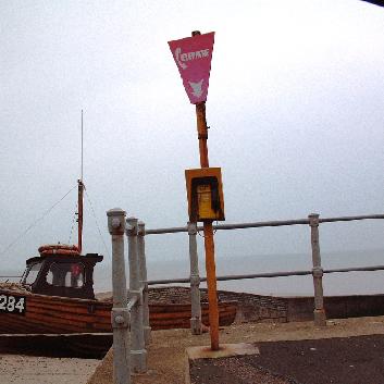 Emergency TE Sidmouth 010206