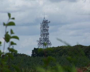 Bedgebury Mast 230709