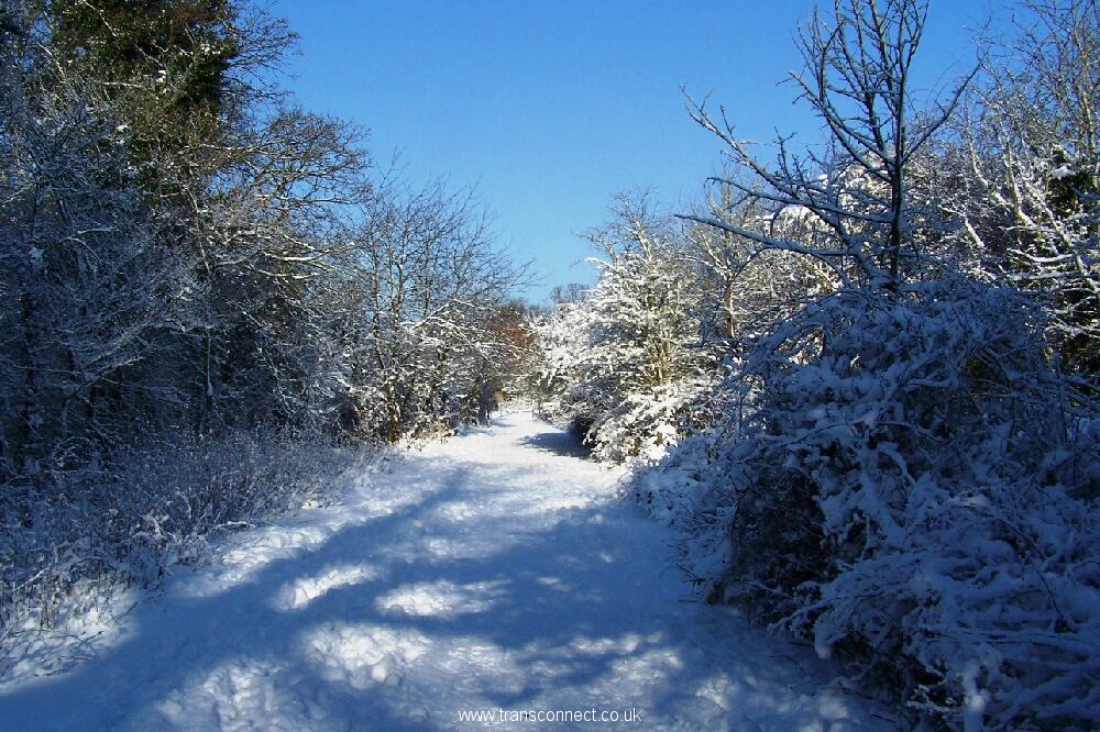 Jubilee Park In Snow 2 030209.JPG