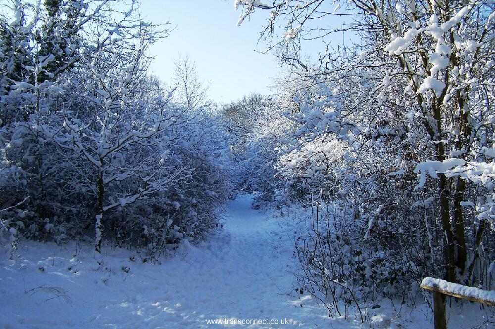 Jubilee Park In Snow 3 030209.JPG