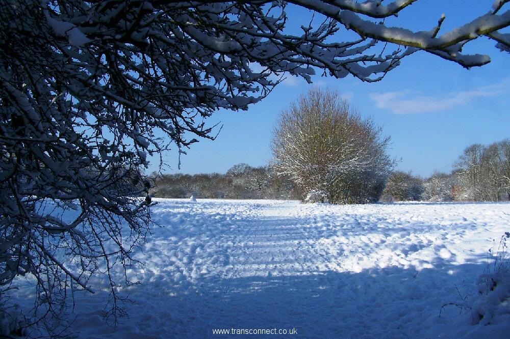 Jubilee Park In Snow 4 030209.JPG