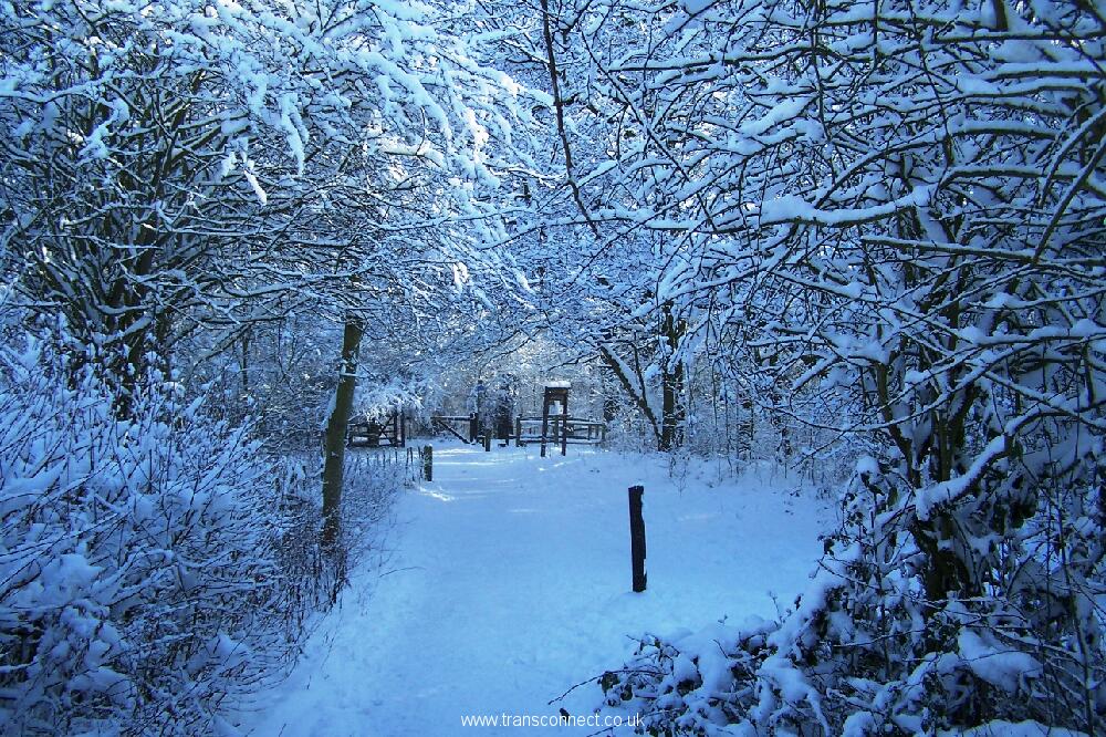 Jubilee Park In Snow 5 030209.JPG