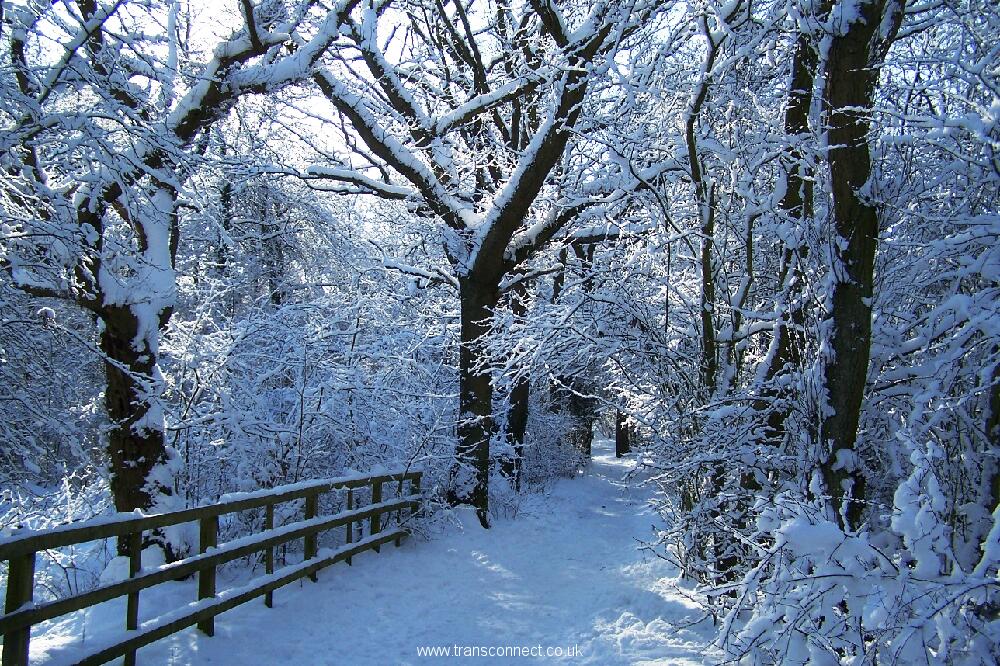 Jubilee Park In Snow 7 030209.JPG