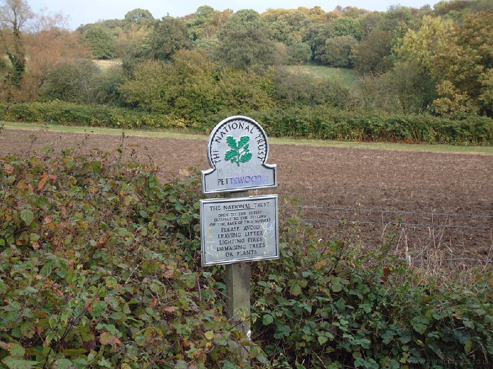 Petts Wood Sign In Woods 171004.JPG