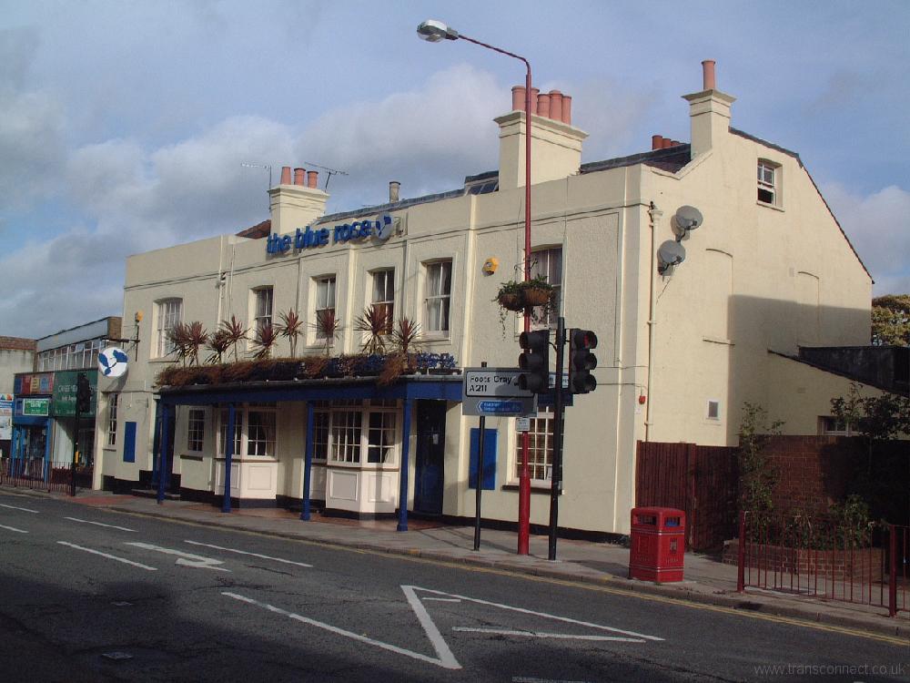 Sidcup Blue Rose (Black Horse) 221004.JPG