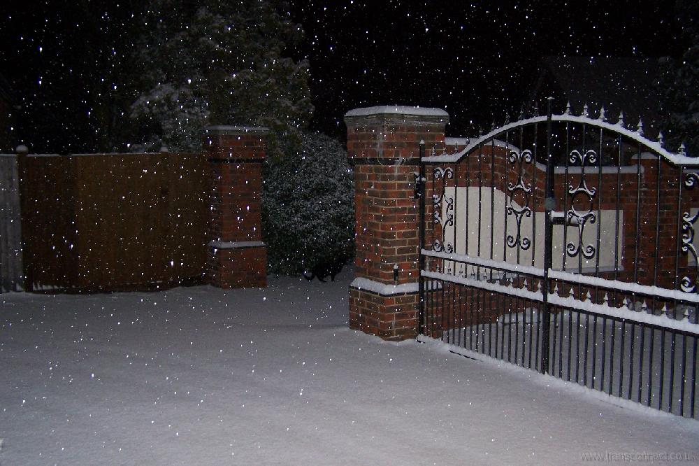 Snow 1 010209.JPG