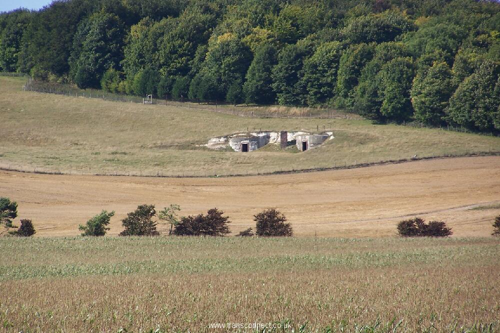 Structure Eastwell Kent 2.jpg