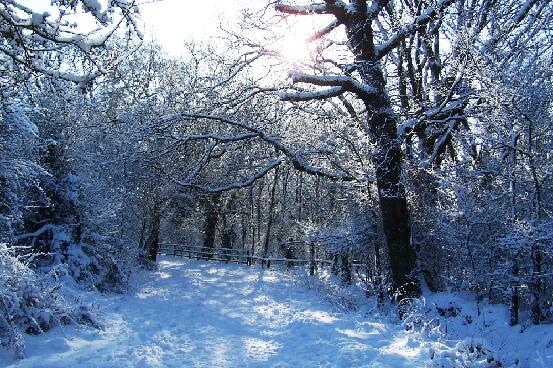 Jubilee Park In Snow 1 030209
