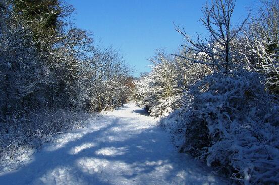 Jubilee Park In Snow 2 030209