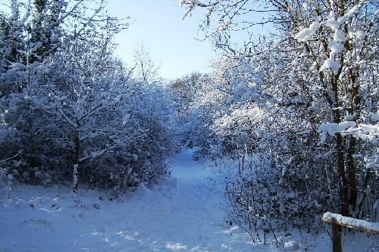 Jubilee Park In Snow 3 030209