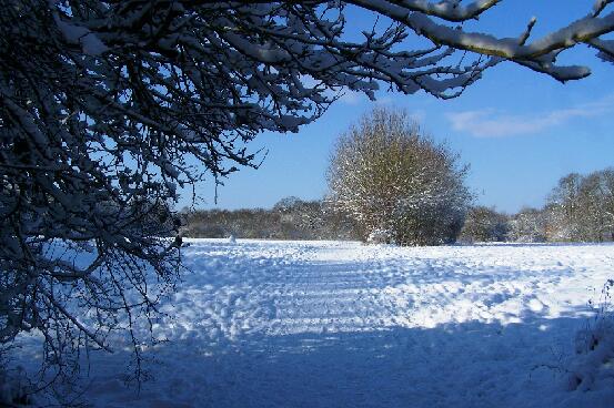 Jubilee Park In Snow 4 030209