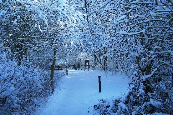 Jubilee Park In Snow 5 030209