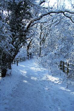 Jubilee Park In Snow 6 030209