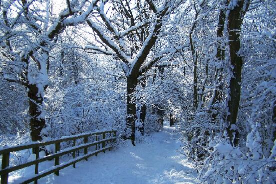 Jubilee Park In Snow 7 030209