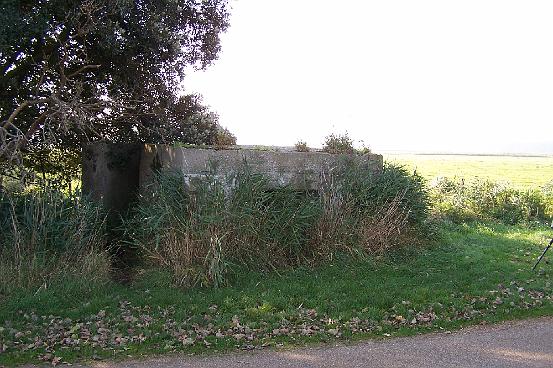 Pill Box 2 Holkham  151005