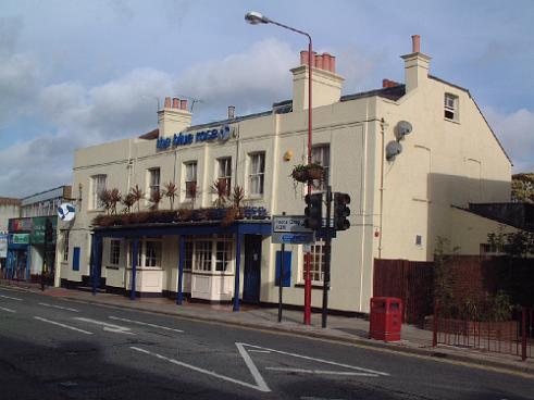Sidcup Blue Rose (Black Horse) 221004