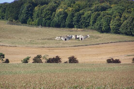 Structure Eastwell Kent 2