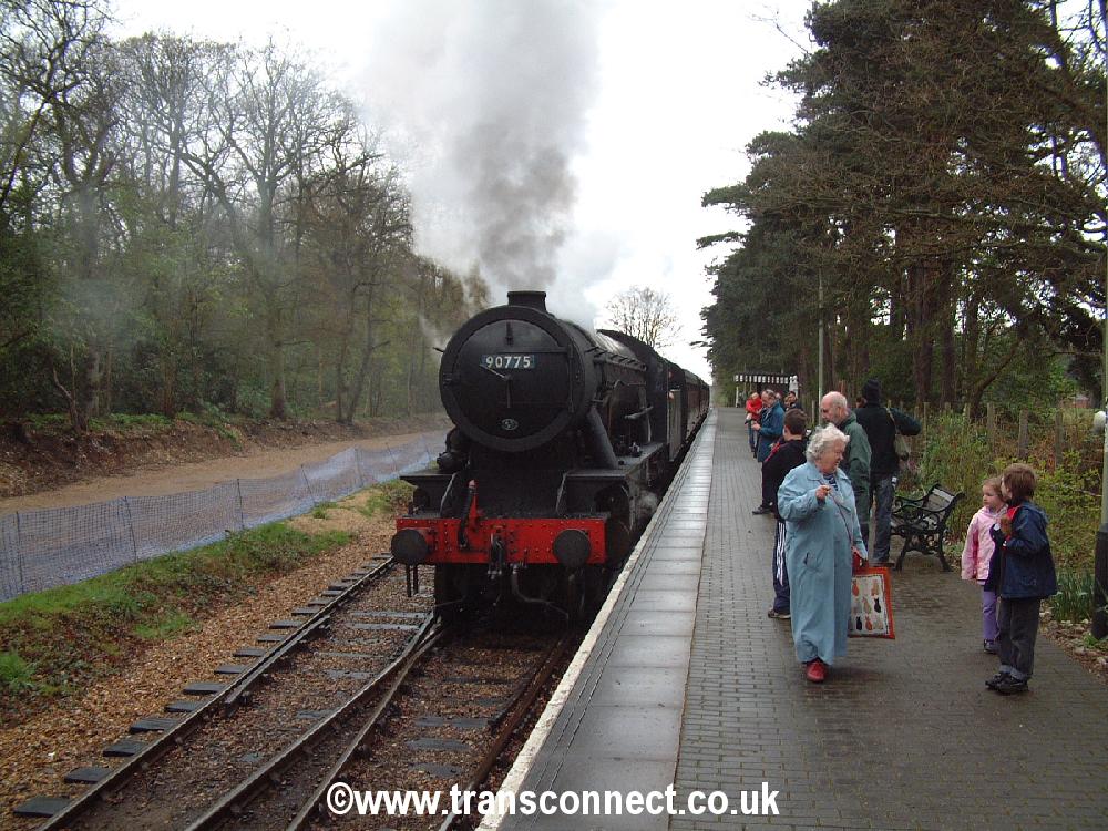 Holt_Train1.jpg