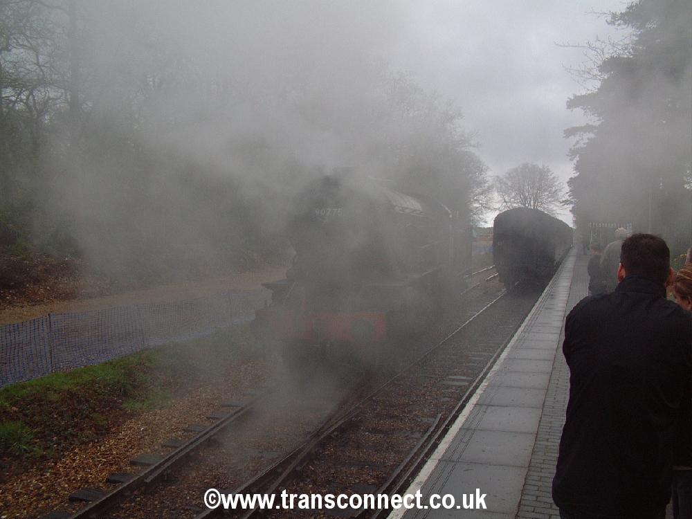 Holt_Train2.jpg