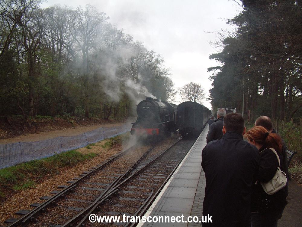 Holt_Train3.jpg