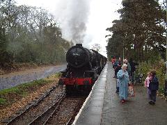 Holt_Train1