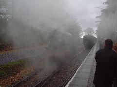 Holt_Train2
