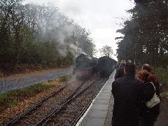 Holt_Train3