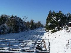 Rail Tracks Bickley Junc 3 030209