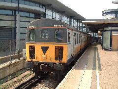 Thumper_Ashford_0803