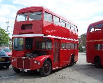 RMA1 Just Out From Paint Shop 3 220708