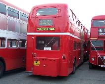 RML2648 Goji Wahwah Northfleet 090909