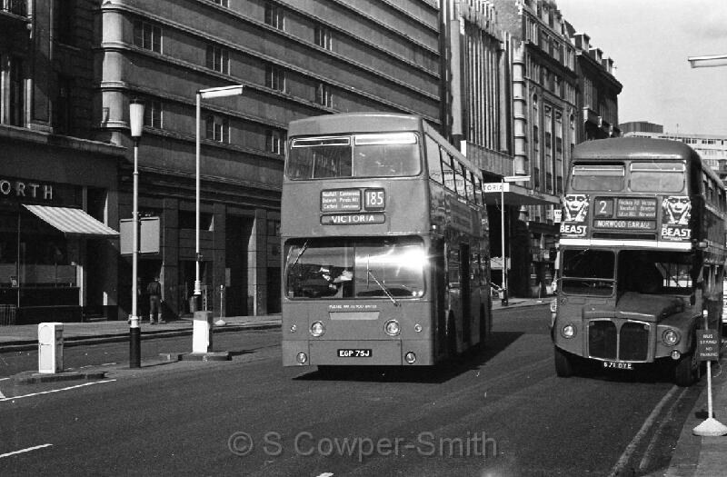 185,BW61,29,DMS0075,185,VICTORIA,VICTORIA,01091978.jpg
