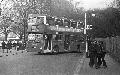137A,BW29,07,DMS2227,137A,Battersea Pleasure Park,Battersea Park,260378