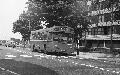 244,BW40,27,SMS814,244,MUSWELL HILL BDY,SOUTHGATE,21051978