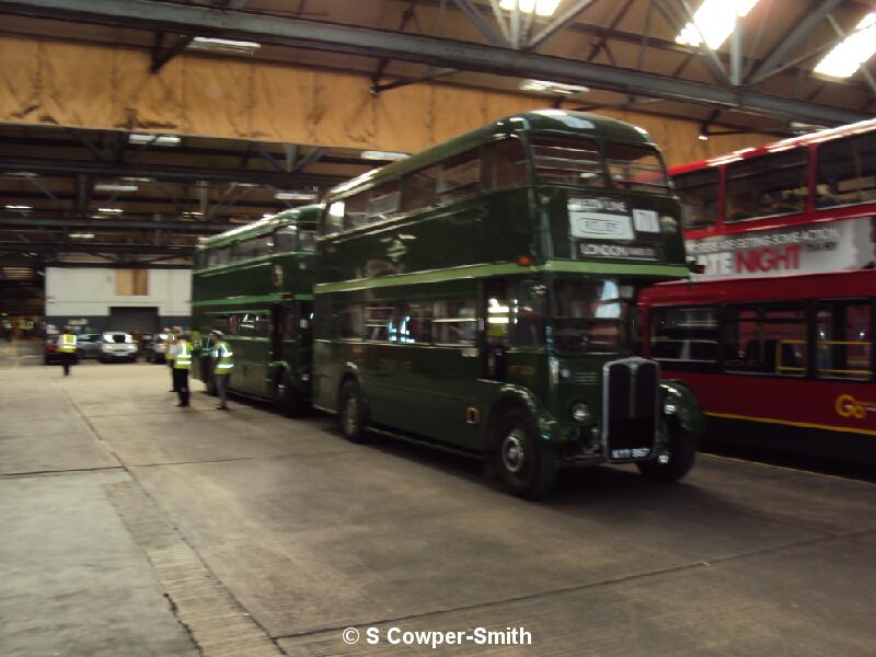 DSC00379.JPG