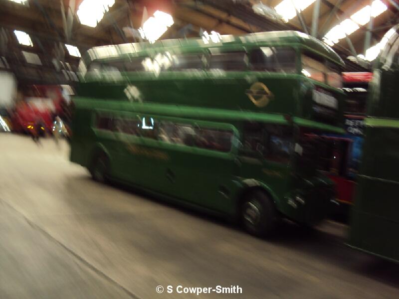 DSC00380.JPG