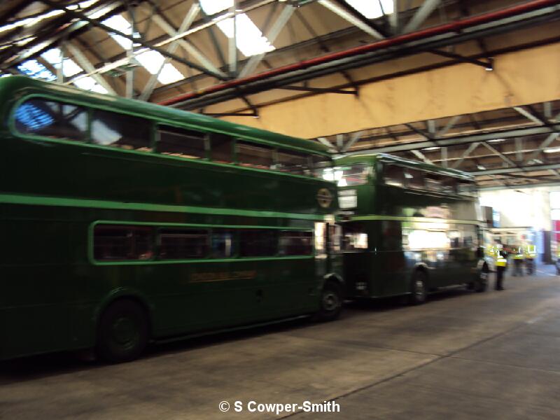 DSC00381.JPG