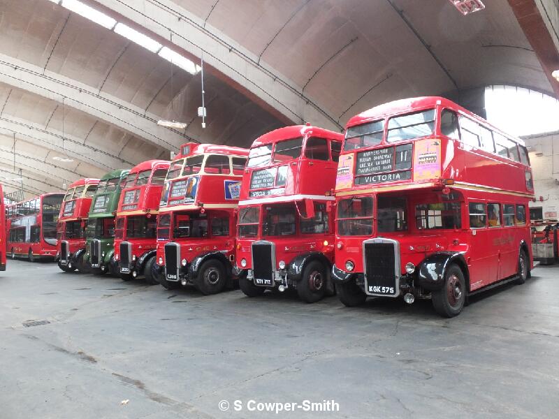 Lineup Of RT Types Rte 11 Running Day 5 021114.JPG