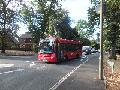 Buses Bickley 1 310816