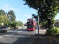Buses On Diversion Bickley 1 310816