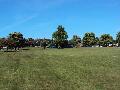 DSC00356