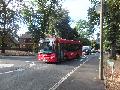 Buses Bickley 1 310816