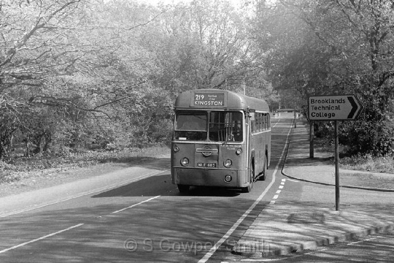 219,BW20,05,RF603,219,KINGSTON,WEYBRIDGE,JUNE 1977.JPG