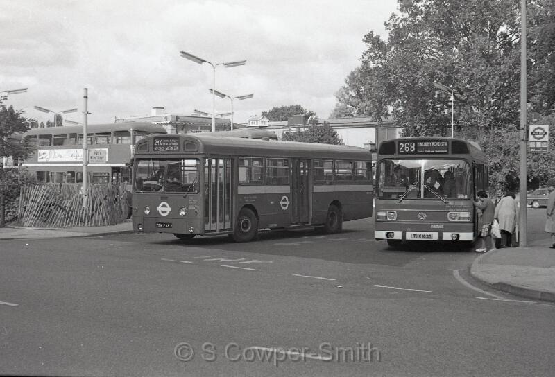 240,BW61,21,SMS232,240,GOLDERS GREEN STN,GOLDERS GREEN,01091978.jpg