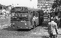 289,BW52,29,SMS829,289,THORNTON HEATH GARAGE,WEST CROYDON BUS STN,01081978
