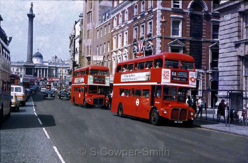 88,S39,48,RML2643,88,MICTCHAM CRICKETERS,WHITEHALL,28Jul81.jpg