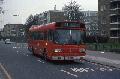P3,S37,13,LS211,P3,PECKHAM and NUNHEAD CIRCULAR VIA NUNHEAD LANE,PECKHAM RYE,24021980